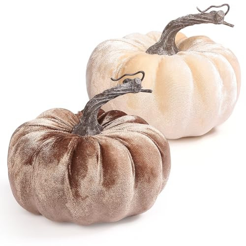DuHouse 2PCS Artificial Velvet Pumpkins – Faux Pumpkins for Fall Decor, Thanksgiving, Halloween, Harvest, Home Party, Table Centerpiece | Amazon (US)