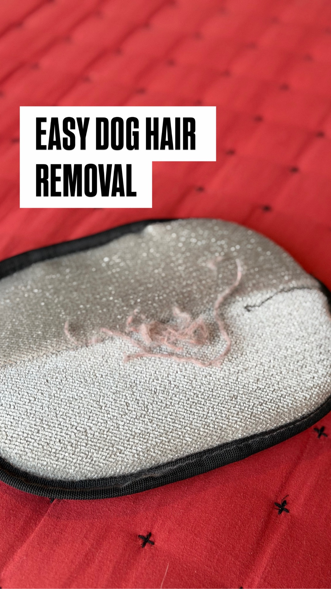 The easiest pet hair removal tool I’ve ever tried and it really works! This is great for both dog or cat hair. 

I have a few and have them stashed throughout the house for ease  



#LTKPets #LTKU #LTKmomlife
