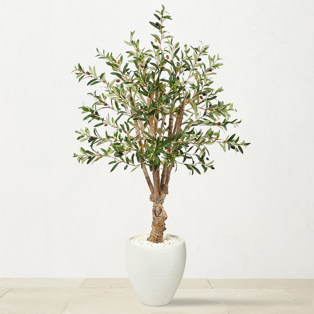 Faux Olive Tree in White Planter, 53" | Williams-Sonoma
