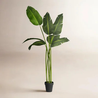 78'' Artificial Banana Leaf Tree in Pot | Wayfair North America