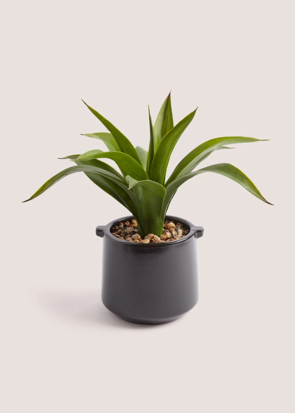 Plant in Cabana Pot (36cm) | Matalan (UK)