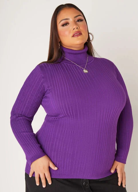 Turtleneck Pullover Sweater | Ashley Stewart