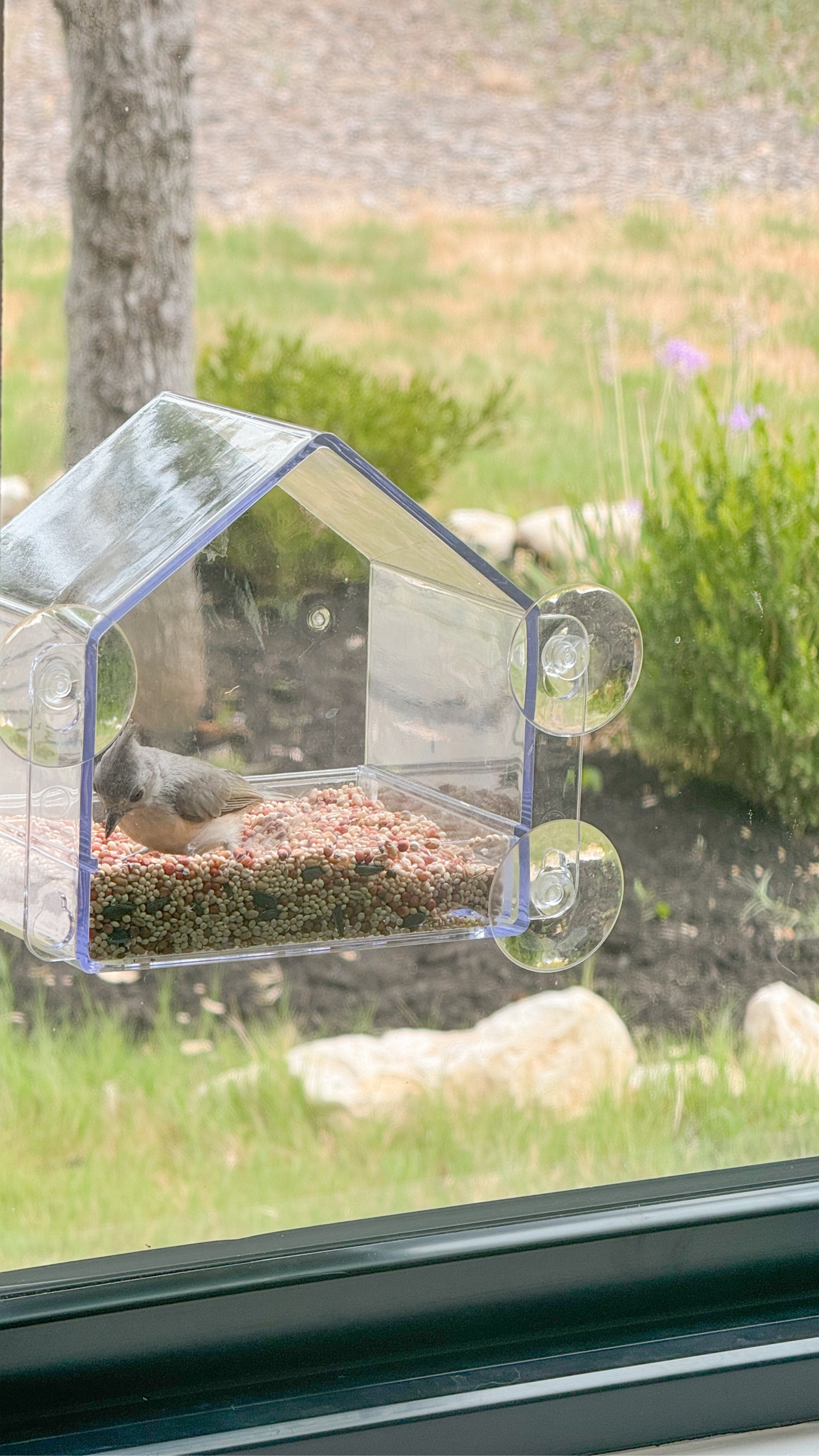 In my granny era!!!!! We’re loving this bird feeder!!! 💚🦜

#LTKSummerSales #LTKSeasonal #LTKFamily