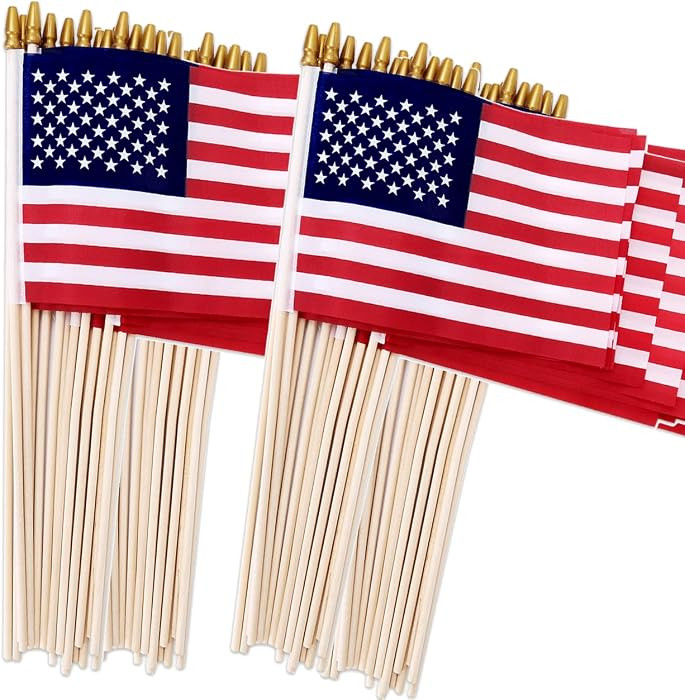 100 Pack Small American Flags on Stick, 4x6 Inch Small US Flags/American Flags for Outside, Mini Hand Held Stick Flags, Memorial Day,250 Anniversary, 4th of July Decorations,Patriotic Decorations | Amazon (US)