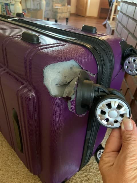 Rockland Melbourne Hardside Expandable Spinner Wheel Luggage, Pink, 2-Piece Set (20/28) | Amazon (US)