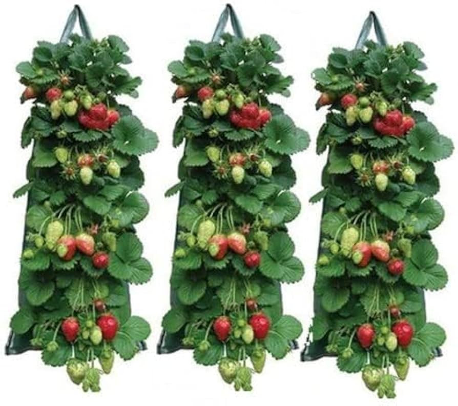 Hanging Strawberry Planter, 3 Pack Breathable Felt Grow Bags with 8 Side Pockets & Reinforced Han... | Amazon (US)