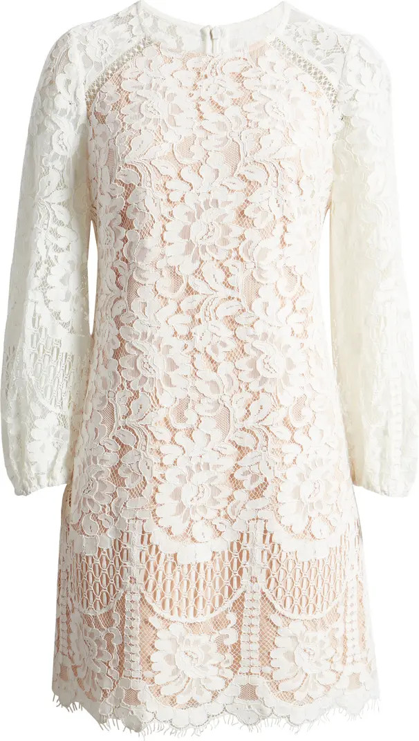 Vince Camuto Raglan Long Sleeve Lace Dress | Nordstrom | Nordstrom