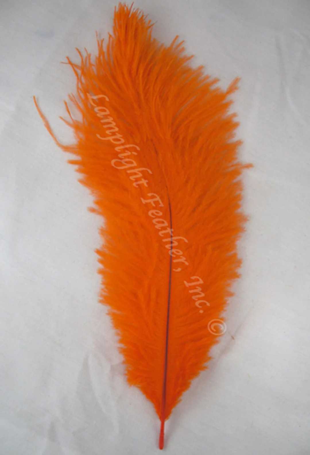 Orange Ostrich Feathers 12-16 Inch per EACH - Etsy | Etsy (US)