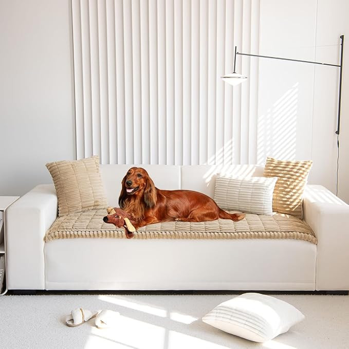 Sofa Cover Fuzzy Couch Cover for Pet, Couch Covers for Dogs Washable Non-Slip Sofa Slipcover Cush... | Amazon (US)