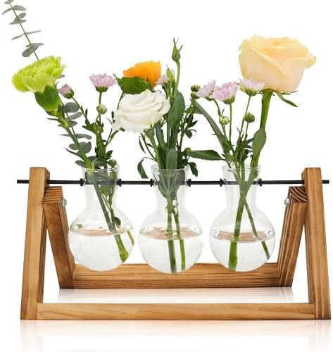 Plant Propagation Station with Wooden Stand,Unique Gardening Gifts for Women Plants Lovers,Birthd... | Amazon (US)