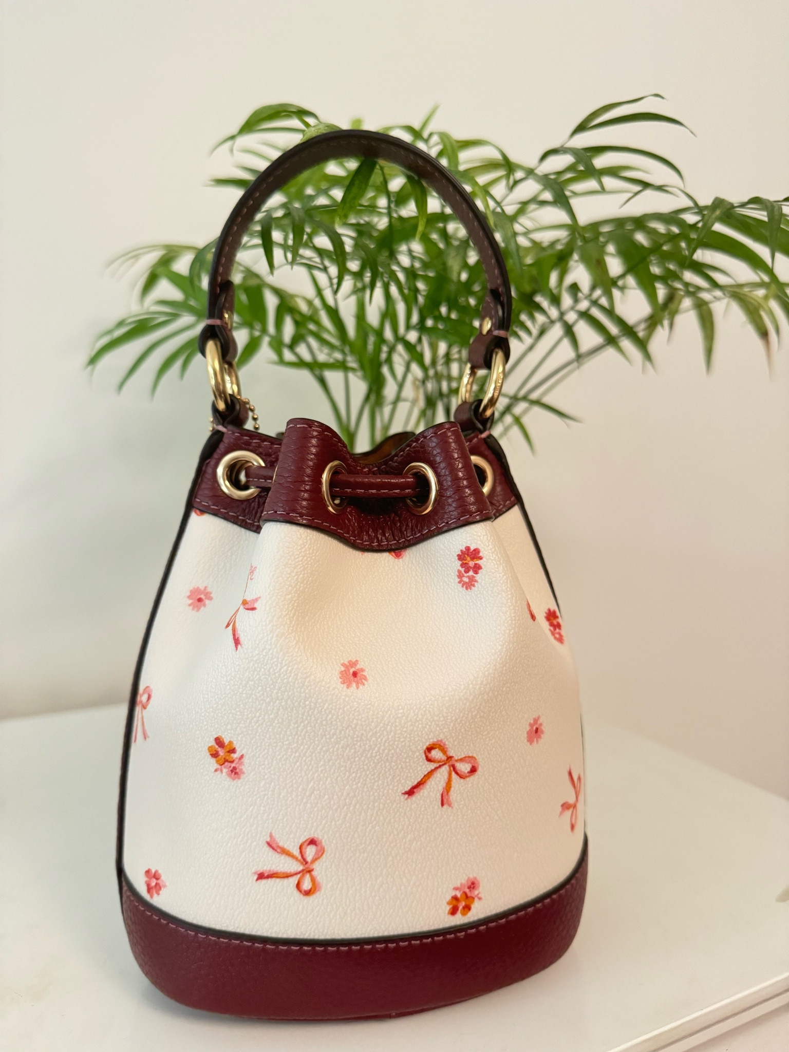 Get this cutest COACH bow bag 🎀

#LTKstyletip #LTKSeasonal #LTKitbag