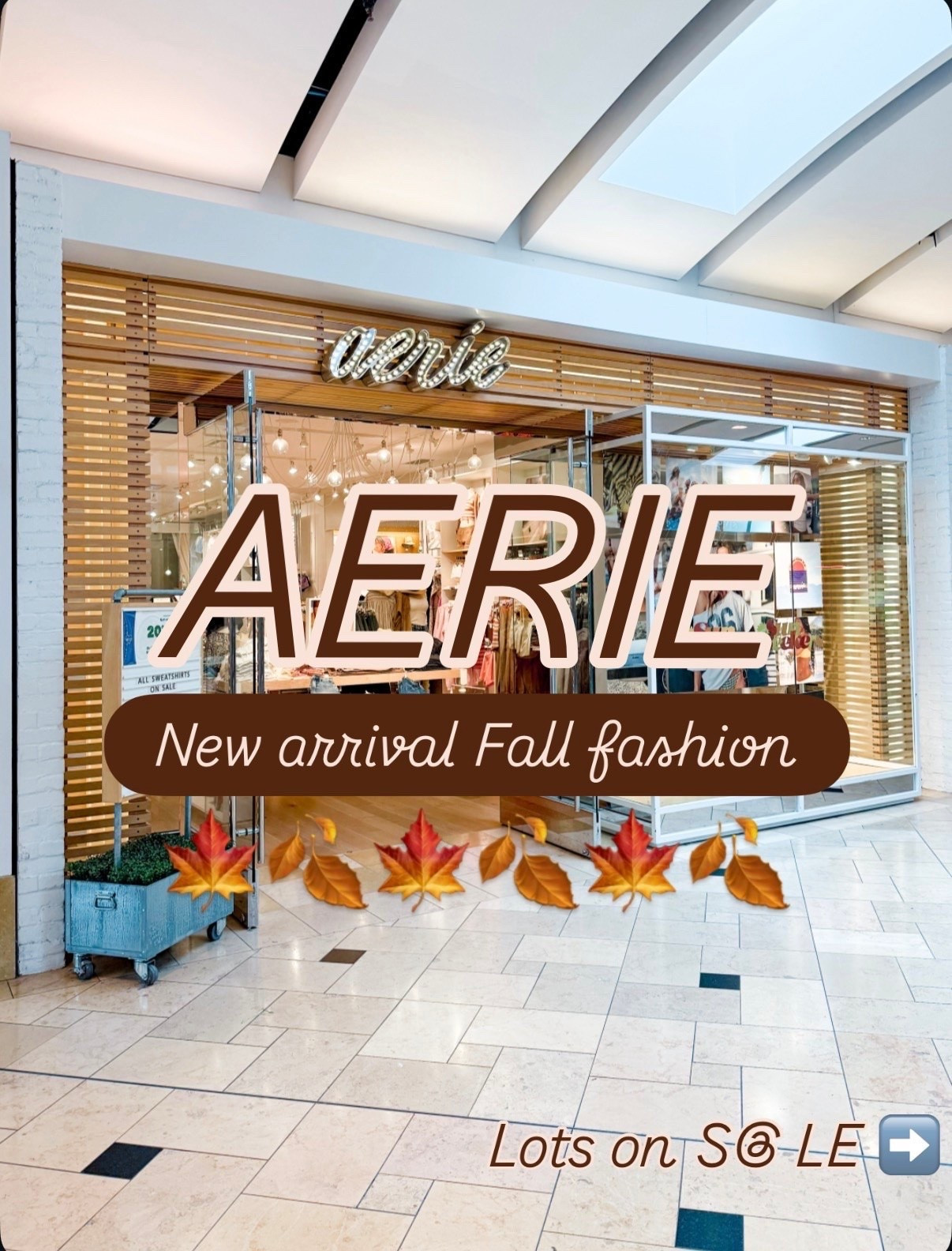 @Aerie is having a major sale right now! So many good ones 👇

#LTKootd #LTKgrwm #LTKmomlife
