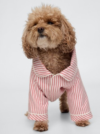 Pet PJ Shirt | Gap (US)