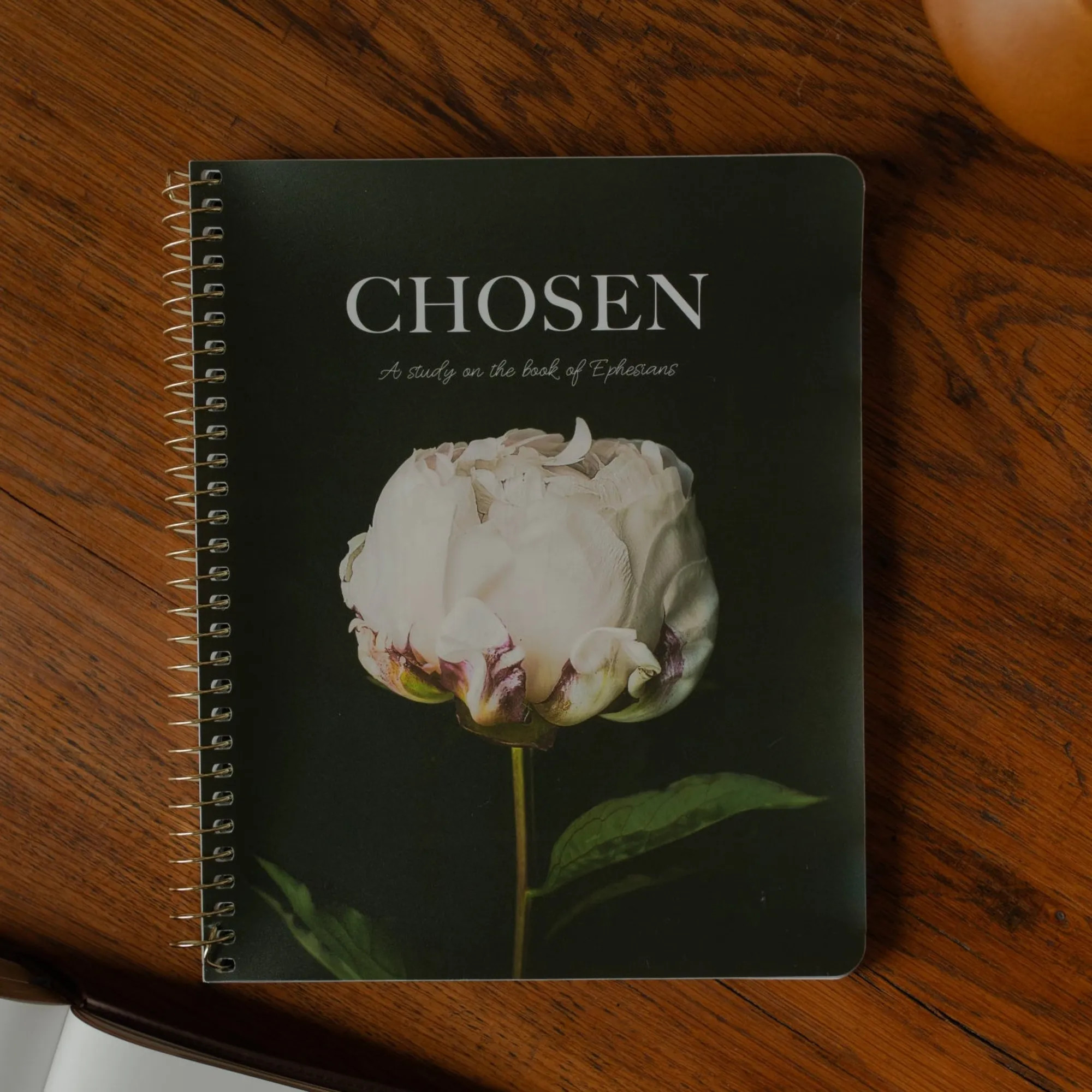 Chosen | Ephesians Bible Study | The Daily Grace Co.