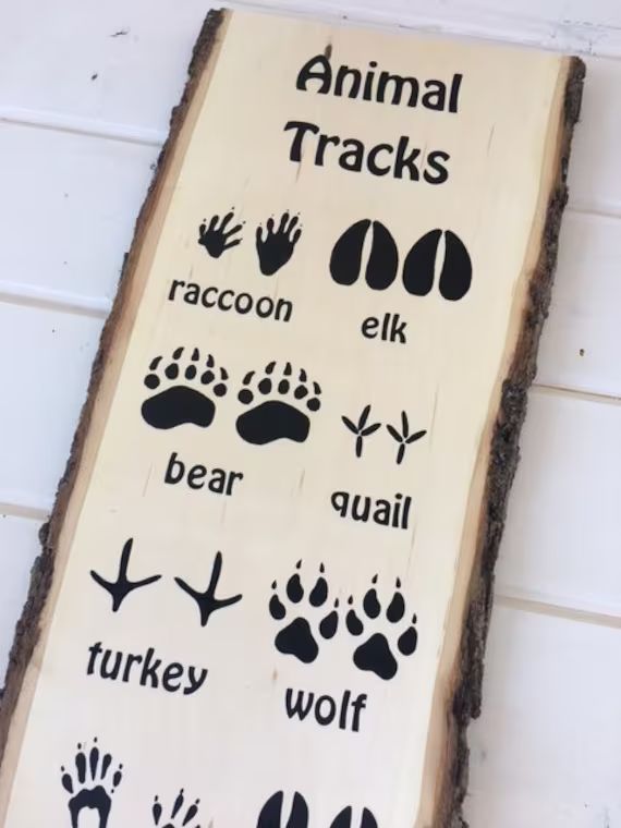 Animal Track Wood Sign: Woodland Nursery Sign Outdoor Nursery Adventure New Baby Gift Woodland Nu... | Etsy (US)