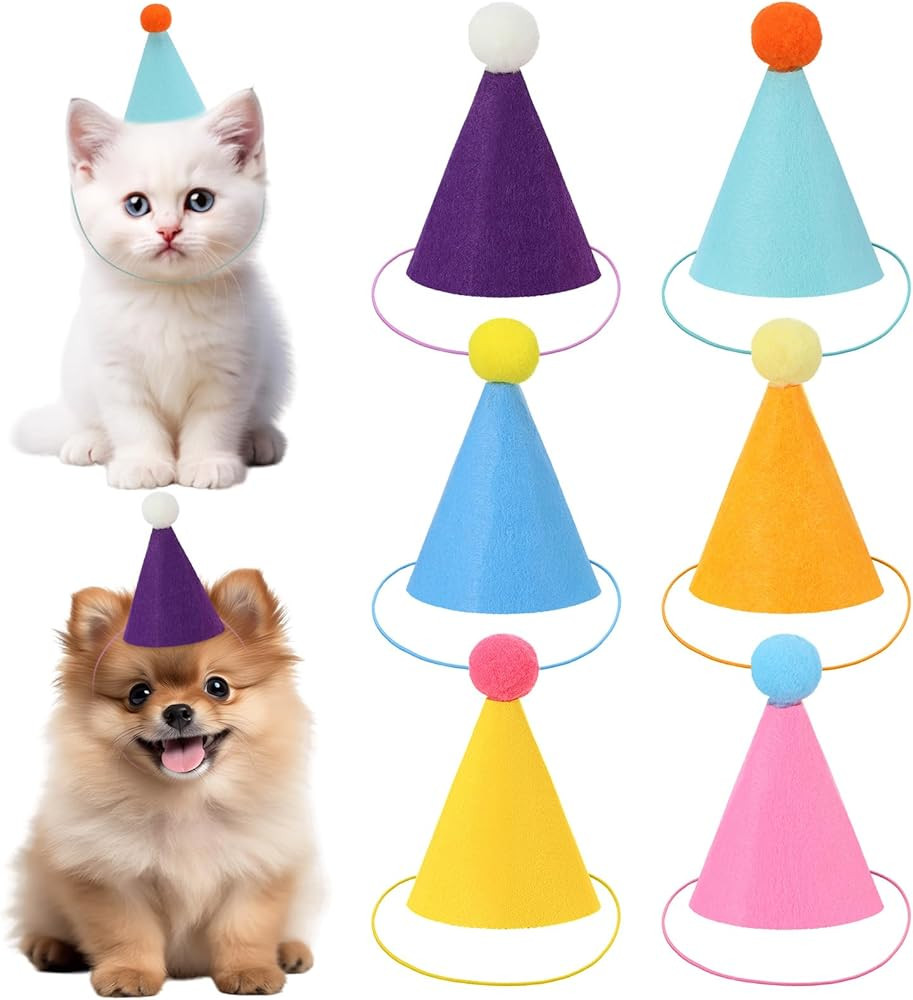 6PCS Mini Party Hats for Stuffed Animals, Stuffed Animal Party Hats, Birthday Partys Cone Hat, Do... | Amazon (US)