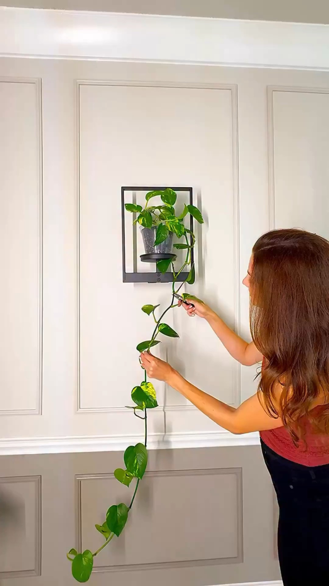 Some people love letting their pothos trail forever… others like to keep it tidy. ✂️🌿

Pruning keeps the plant strong, gives you cuttings for new vines, and with a little propagation boost, roots form more quickly and establish healthier. 🌱 Propagation drops add essential nutrients and natural hormones that support root development, helping your cuttings adjust and thrive with less stress. Comment POTHOS for links 💚

Team trail or Team prune? 👇

pothos propagation | pothos pruning | how to propagate pothos | trailing pothos vs pruning | houseplant propagation tips | plant care for beginners | indoor plant pruning | easy plants to propagate | best propagation products | pothos plant care

#pothos #plantlover #houseplantclub #plantpropagation #plantmom urbanjungle plantpropagationstation greenthumb plantcaretips propagationnation houseplantcommunity rootedinhappiness plantsofinstagram plantsmakepeoplehappy indoorplants

LTKOver40 LTKmomlife LTKHome