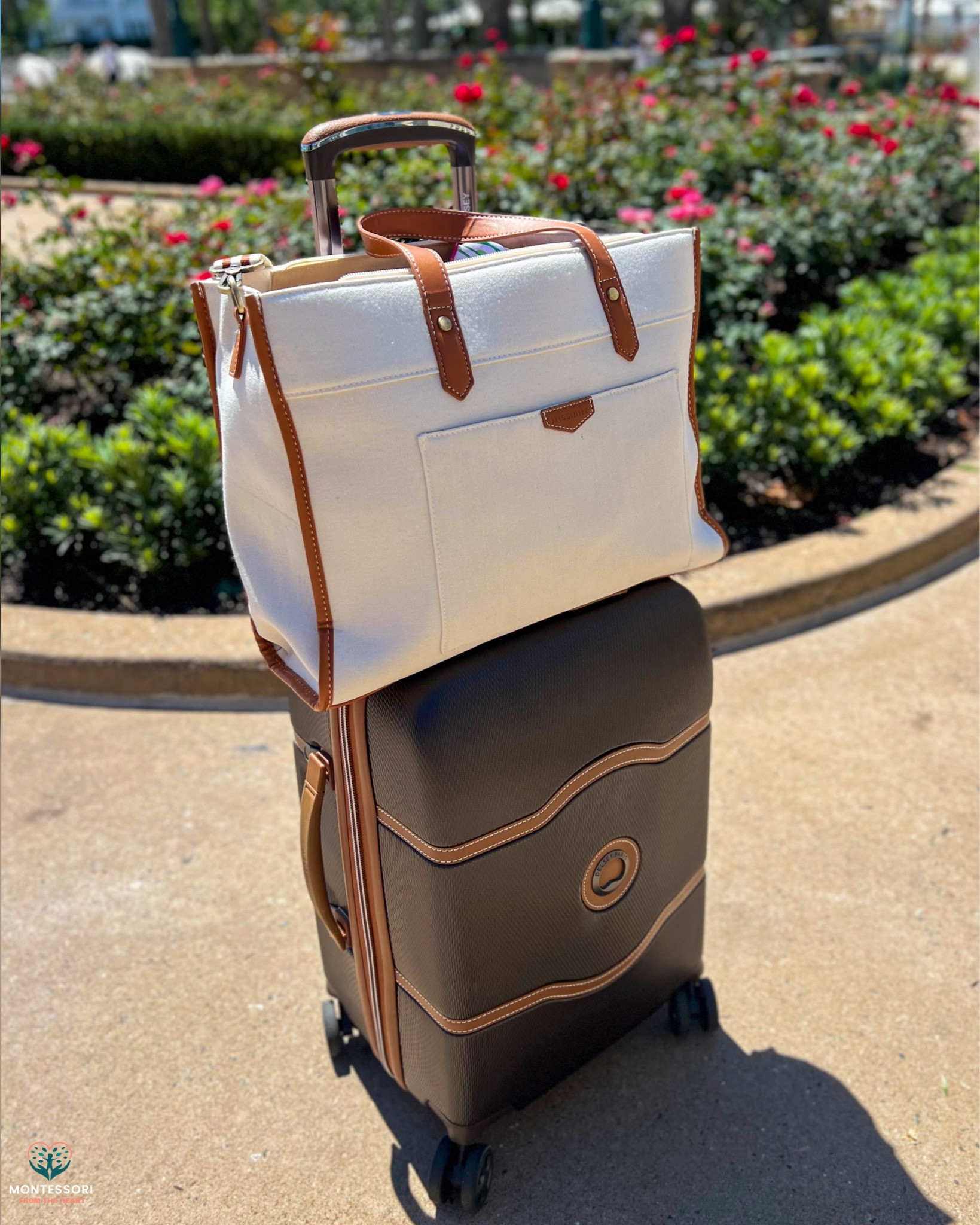 Travel 🧳 Light with DELSEY a carry on and Missnine Laptop 💻 Tote

#LTKfamily #LTKtravel #LTKsalealert