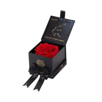 Eternal Roses Astor Gift Box Back to Results - Bloomingdale's | Bloomingdale's (US)