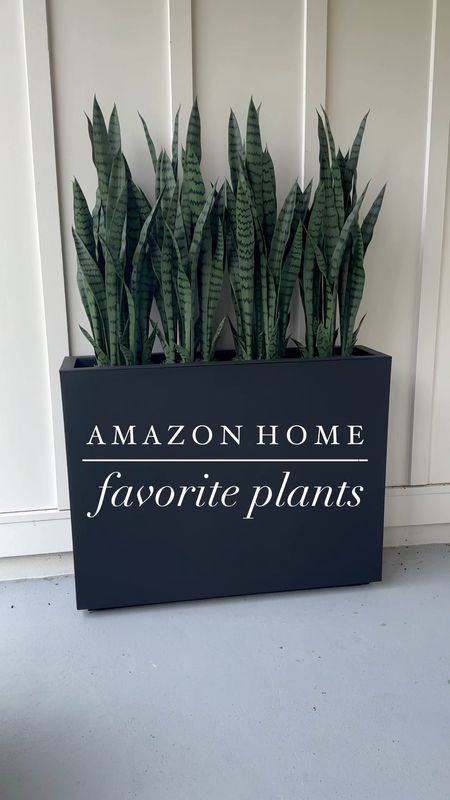 My favorite faux plants from Amazon are by nearly natural! Also, my black planters have been so popular and I understand why, quality is amazing! I will have these for many years to come! 

#LTKVideo #LTKHome #LTKFindsUnder100