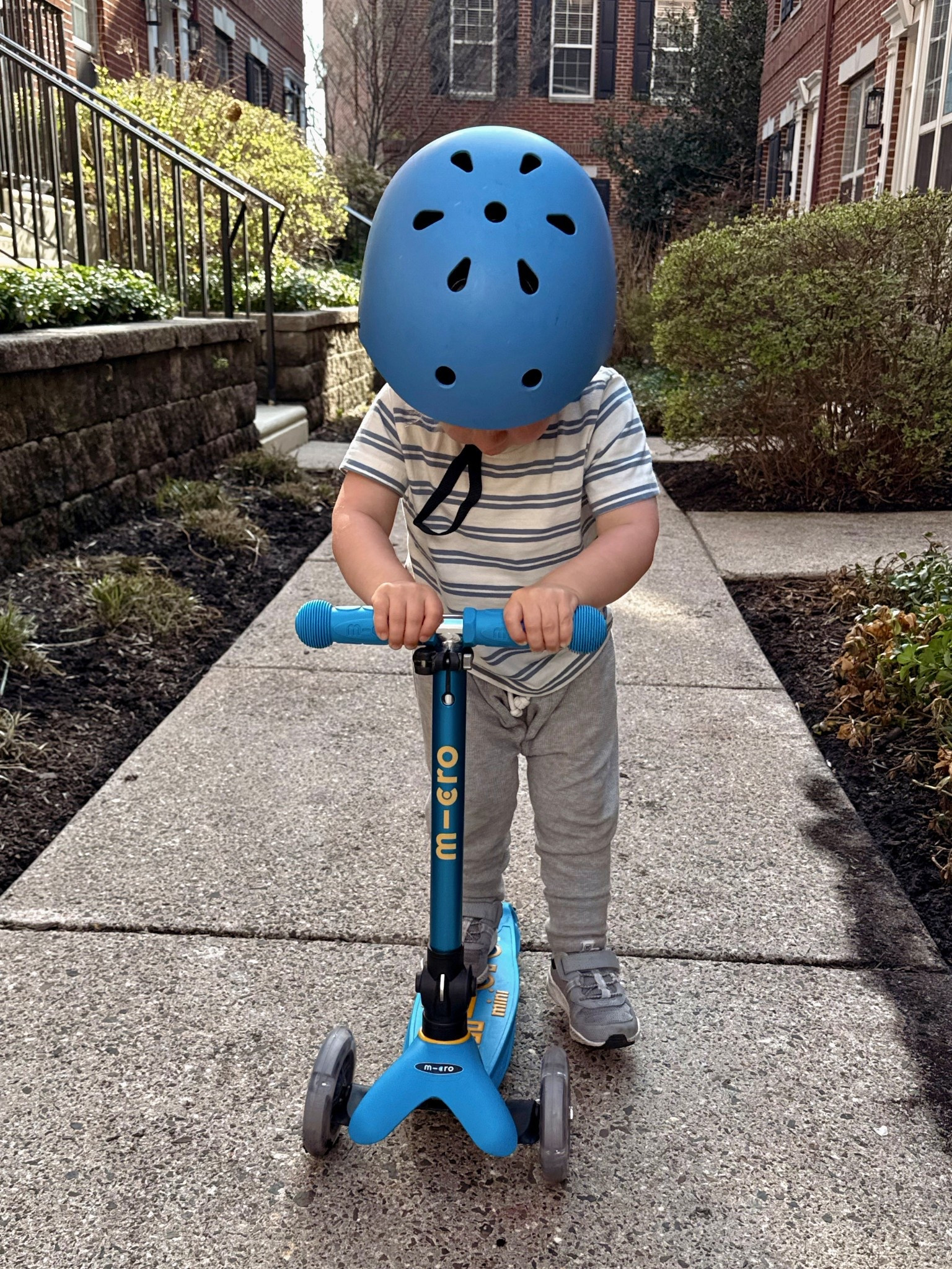 The BEST 2nd Birthday Present EVER! We are outside scootering everyday since! 

toddler, toddler boy, birthday present, outside, scooter, toys, ideas

#LTKmomlife #LTKKids