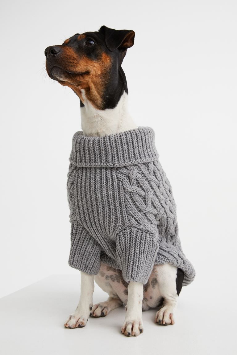 Cable-knit Dog Sweater - Gray melange - Ladies | H&M US | H&M (US + CA)