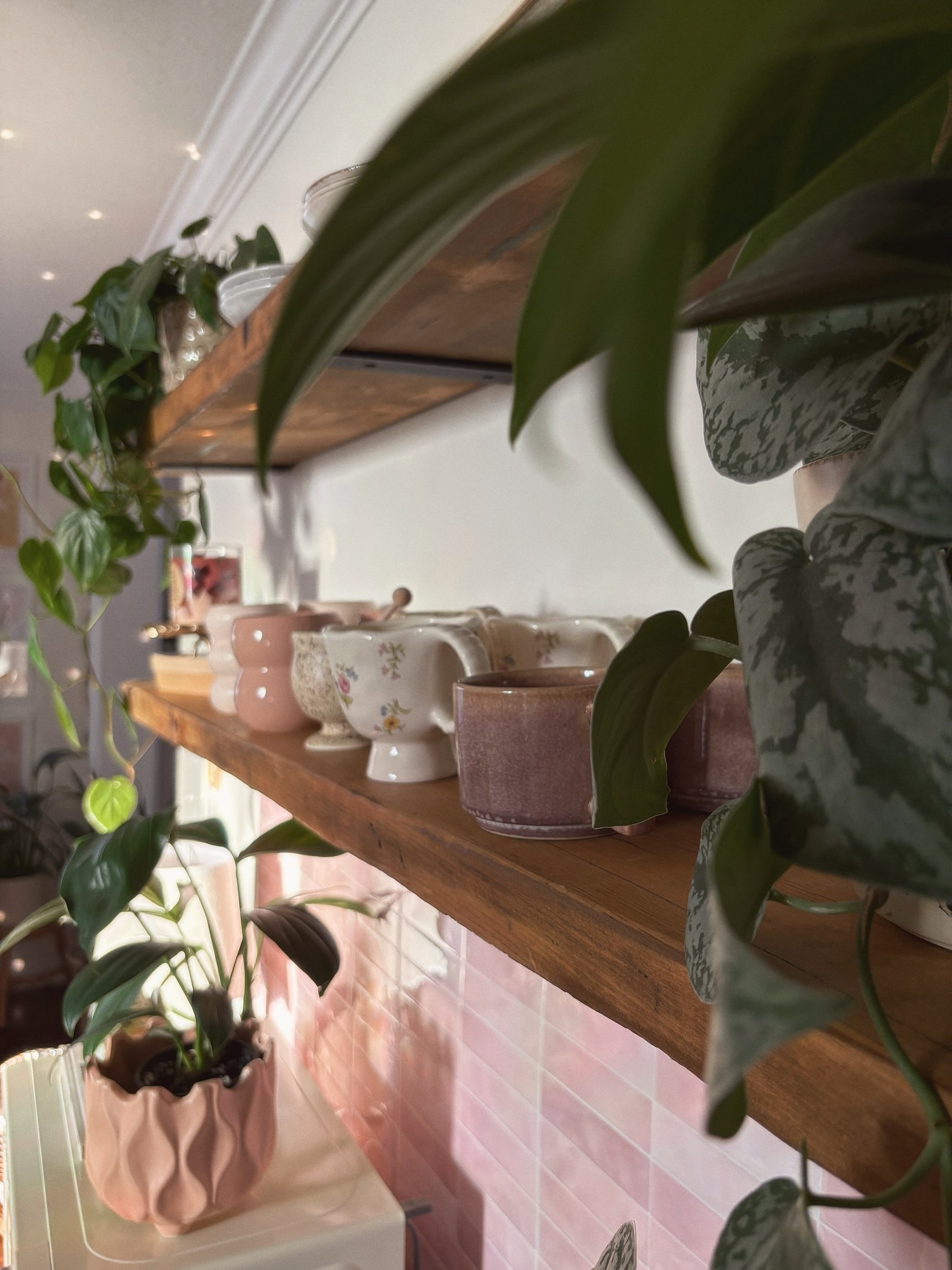 the way the light hits here 🥹✨
 
hope you had a great weekend 🫶🏼
 
 
 
 
#coffeebar #homedecorideas #cozyhome #interiorstyling #homeinspo

#LTKHome