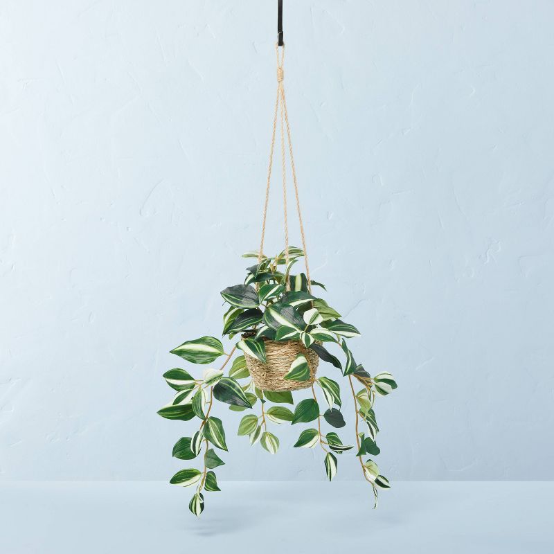 Faux Variegated Zebrina Leaf Hanging Basket Arrangement - Hearth & Hand™ with Magnolia | Target