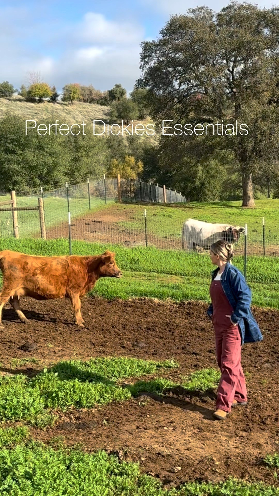 layers that look put together, feel cozy, and survive school drop off, errands and holidays chairs @dickies winter essentials  you’ll wear on repeat! #ad #dickiespartner 

#LTKdayinmylife #LTKSeasonal