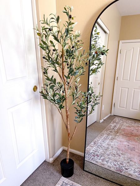 5 feet olive tree from Walmart. On sale for $29.99. 




Gift for mom, gift for plant lover, home gift, home decor, home refresh, amazon planter, tall planter, 
#LTKsalealert #LTKhome 


Olive tree/ artificial plant/ home decor/ Walmart home decor/ Walmart finds/
Walmart deal/ Walmart sale

#LTKfamily #LTKkids #LTKfindsunder50

#LTKSeasonal #LTKHome #LTKFindsUnder50