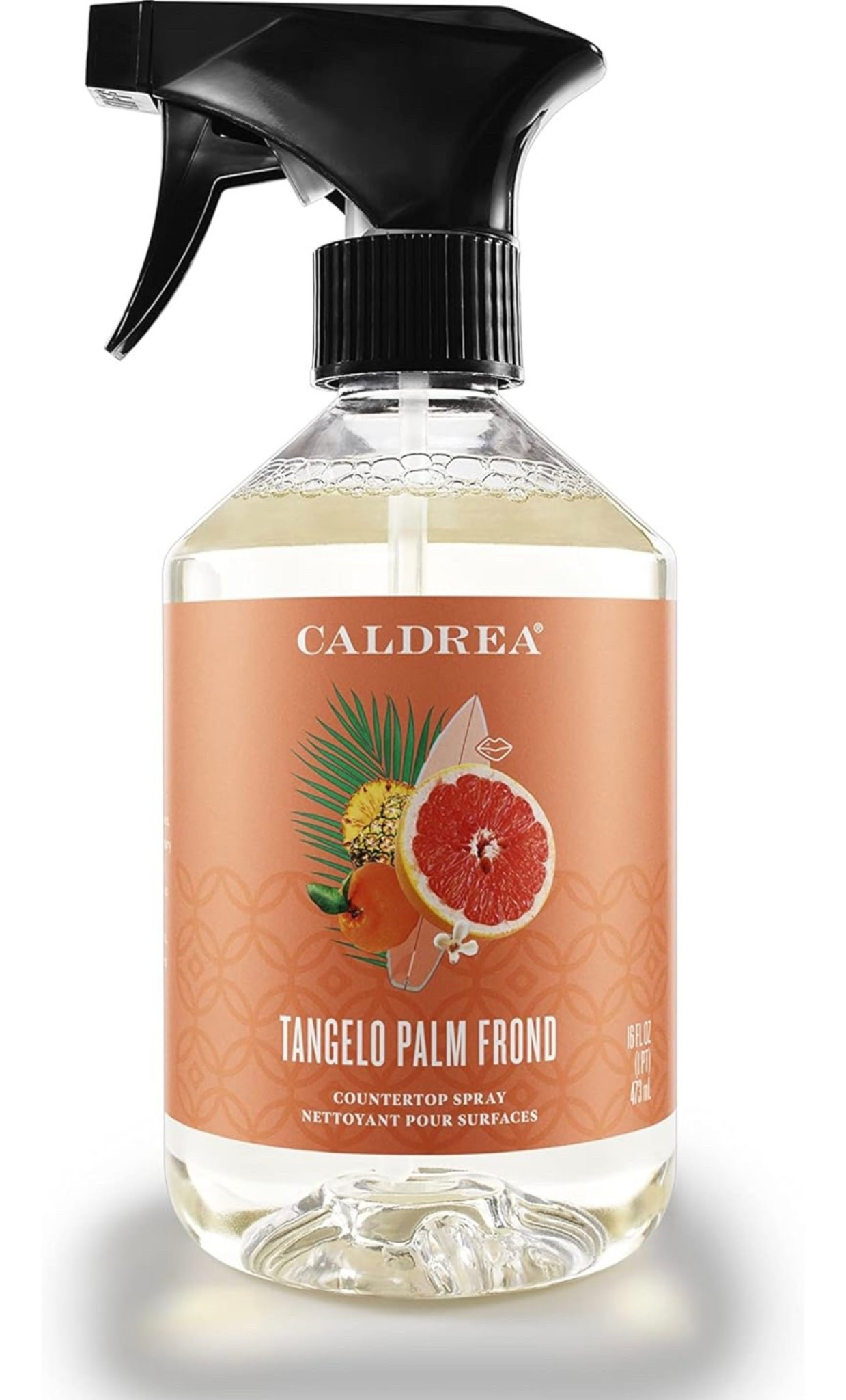 Boujee Countertop Cleaner Spray



#LTKFindsUnder50 #LTKHome