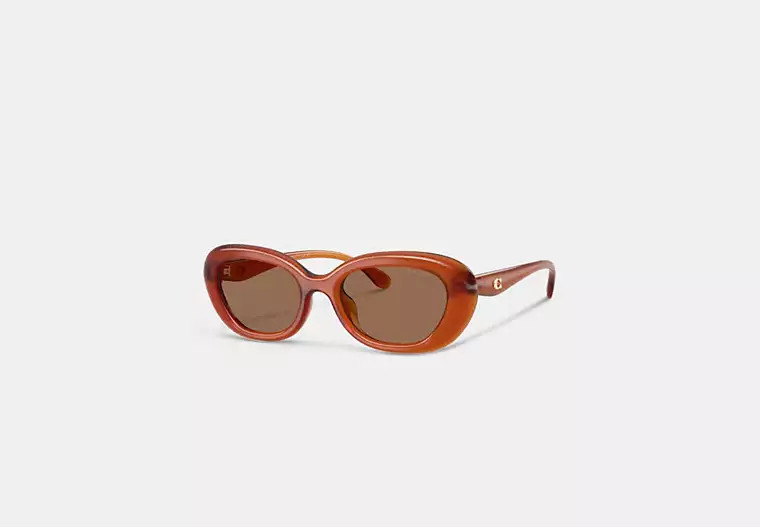 C Hardware Round Sunglasses | Coach (US)