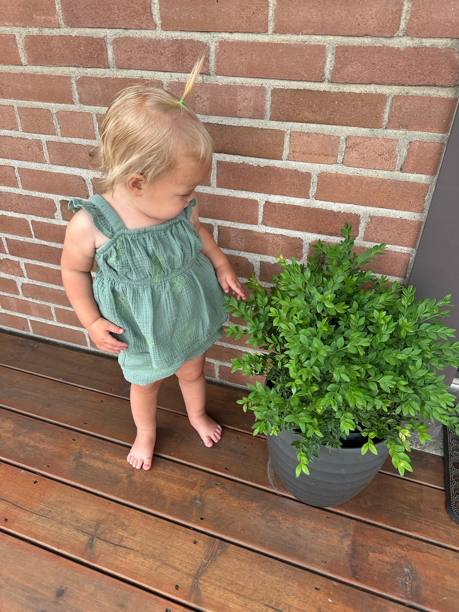Target Moms, You'll Want to Know About This Find! 🌿
I found the cutest girls' summer outfit at Target, and it's one of those sets that looks even better in person! 💚 This embroidered tank and shorts set is made from soft, lightweight gauze fabric that's perfect for keeping little ones cool on hot summer days.
Whether you're heading to the park, on vacation, taking family photos, or just running errands, this matching set is an easy outfit you'll reach for again and again.
✨ Lightweight gauze fabric
✨ Embroidered tank top + matching shorts
✨ Soft, breathable, and comfortable
✨ Perfect for summer, back-to-school, and everyday wear
✨ Affordable Target kids' fashion find
If you're shopping for girls' summer clothes at Target, don't skip this one!
#LTKKids #LTKBaby #LTKTravel #TargetStyle #TargetKids #TargetFinds #GirlsClothing #ToddlerStyle #KidsFashion #SummerStyle

#LTKmomlife #LTKBaby #LTKKids