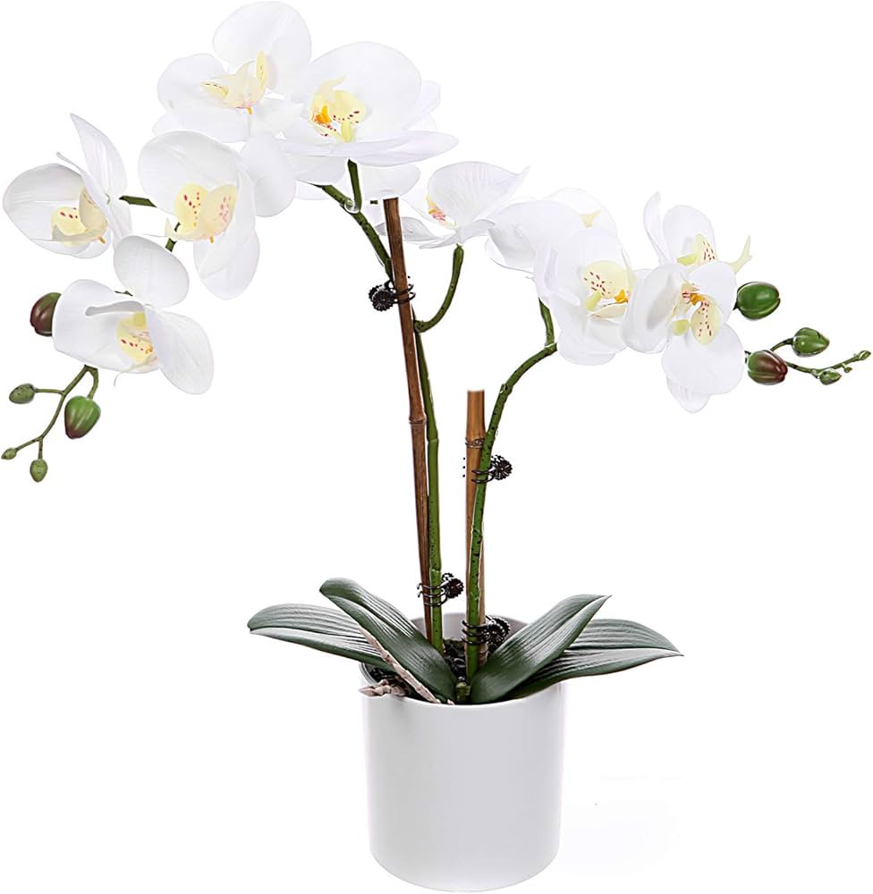 Artificial Phalaenopsis Orchids Flowers with White Vase, Tall Real Touch Arrangements for Home, D... | Amazon (US)