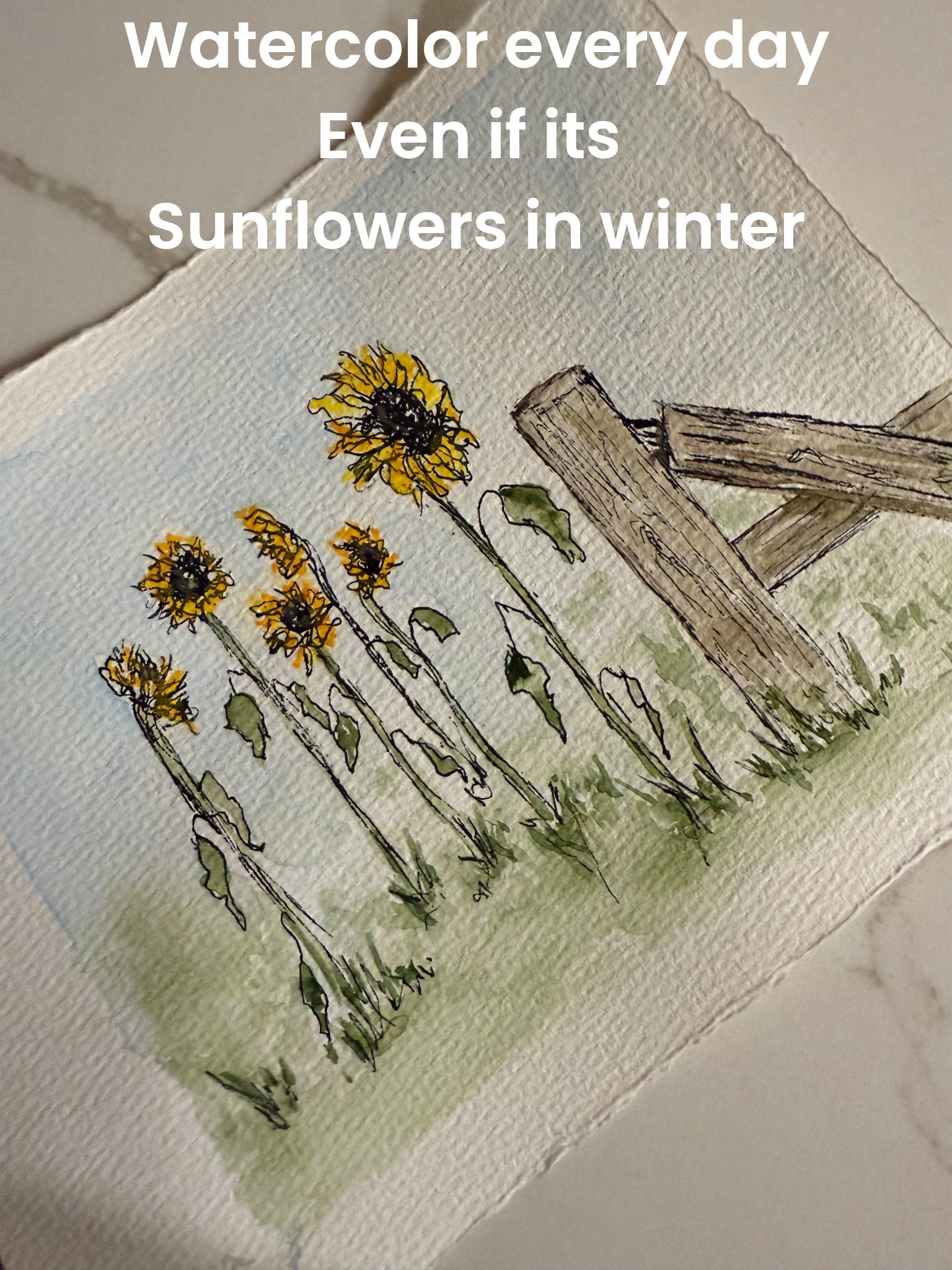 Watercolor every day you can even if it’s just a line and wash sketch. You will see yourself improve! I’ve attached some great all-in-one sets I recommend and journals with great affordable paper! #watercolor #sunflower #watercolorpainting #artsupplies #giftideas

#LTKGiftGuide #LTKdayinmylife #LTKHoliday