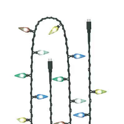 GEMS 3' USB-C to USB-C Christmas Lights Cable | Target