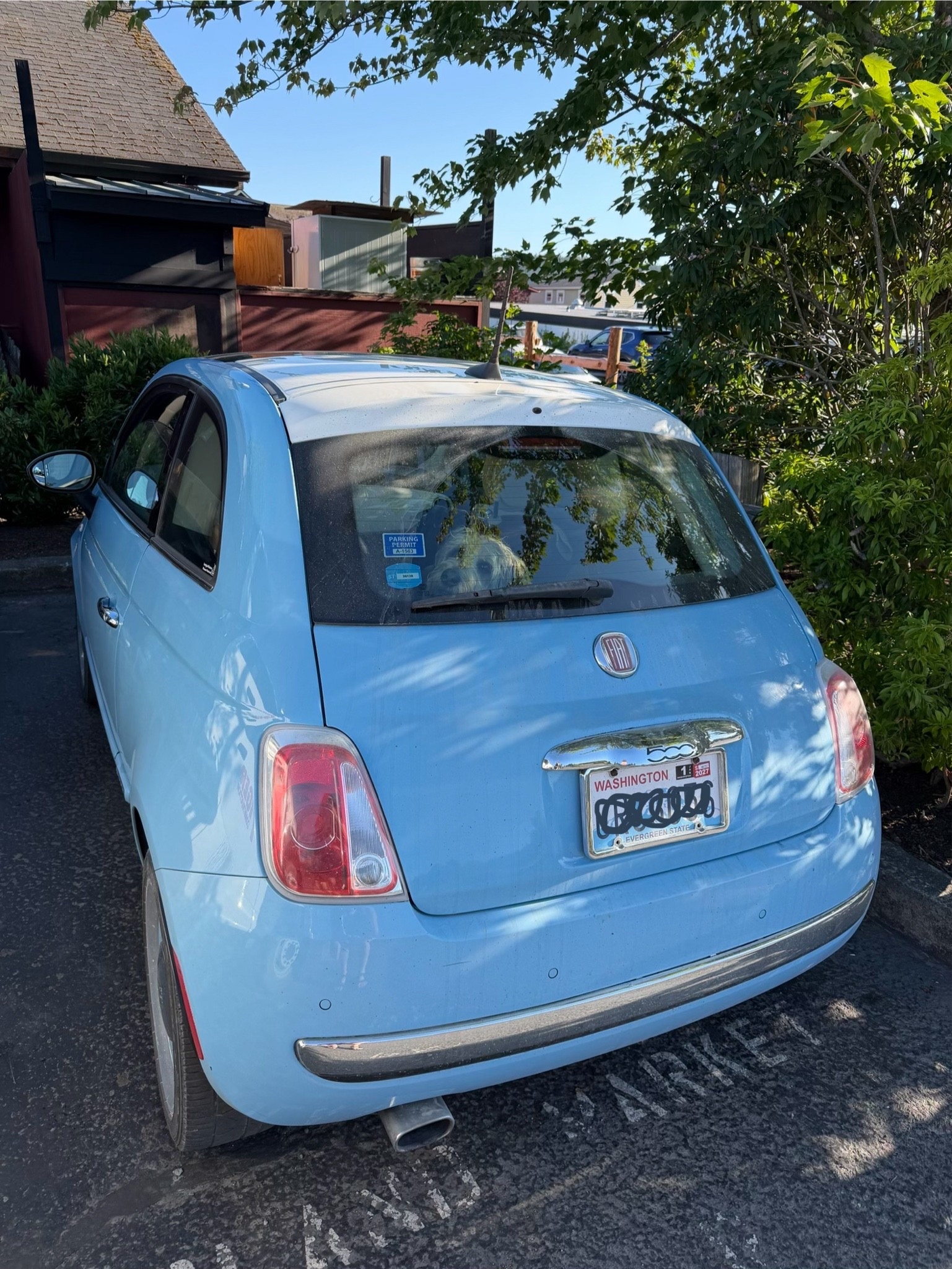 @connor.b.rs #ad