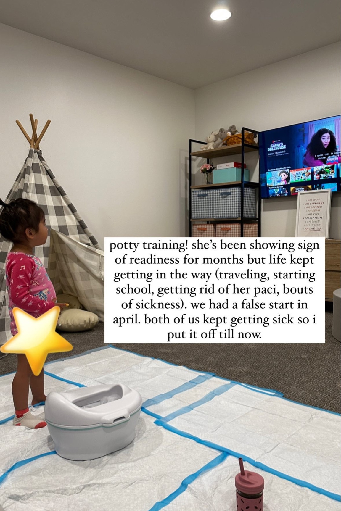 Potty training seat 

#LTKhome #LTKkids