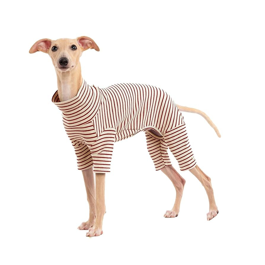 Dog Sweaters for Small Dogs Girls Boys, Striped Pet Sweaters for Fall Winter Dog Clothes, Turtlen... | Amazon (US)