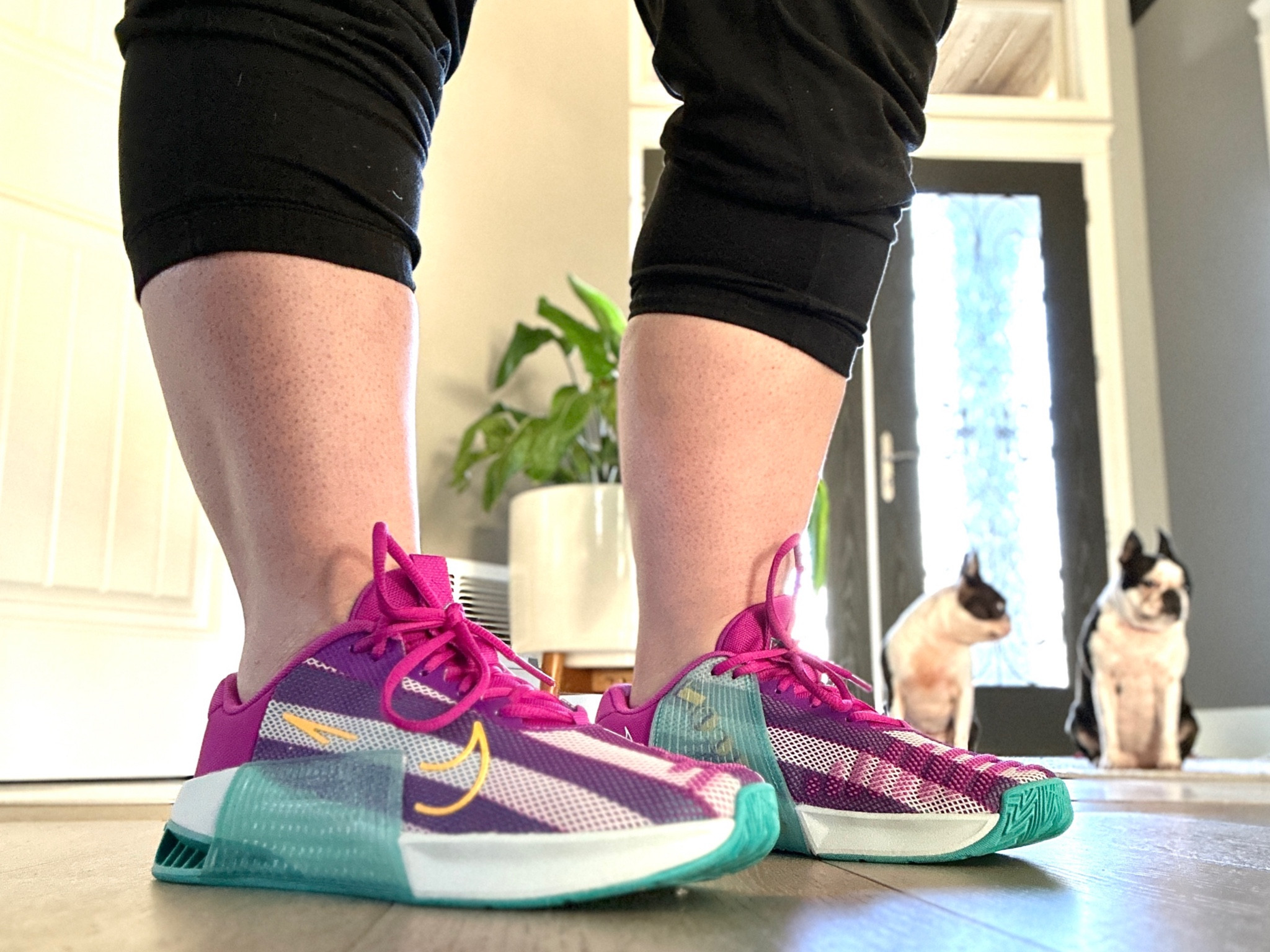 Pretty new CrossFit shoes for 2024! My reward for a 4 month streak of 5days per week. These are on sale! 
Nike Metcon 9

#LTKshoecrush #LTKsalealert #LTKfitness