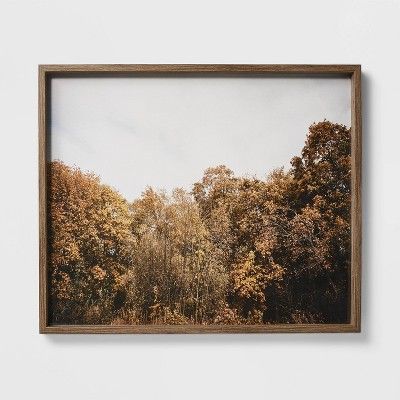 36" x 30" Golden Forest Framed Underglass Brown - Threshold™ designed with Studio McGee | Target