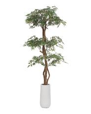 6ft Ming Aralia Tree With Real Bark Covered Trunk | Home Essentials | Marshalls | Marshalls