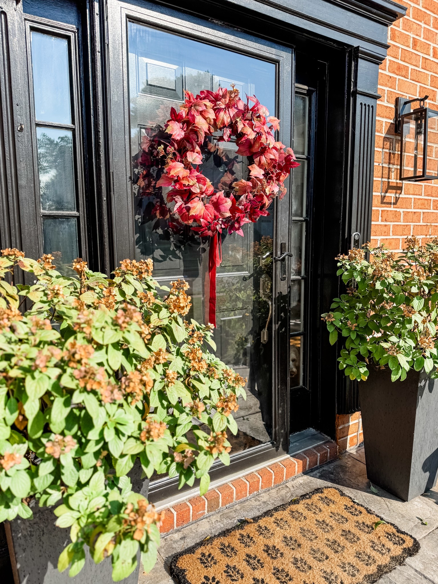 Fall wreath 
Front porch decor
Outdoor light fixture 
Black planters 

#LTKStyleTip #LTKSeasonal #LTKHome