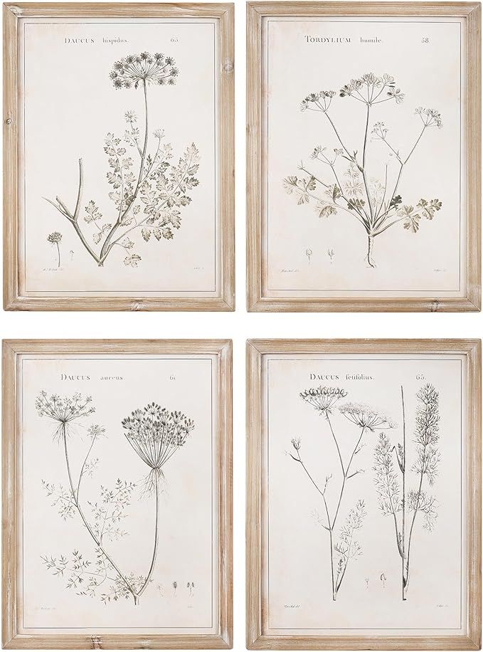 Creative Co-Op Distressed Wood Framed Botanical Wall Art, White and Gold, Set of 4 | Amazon (US)