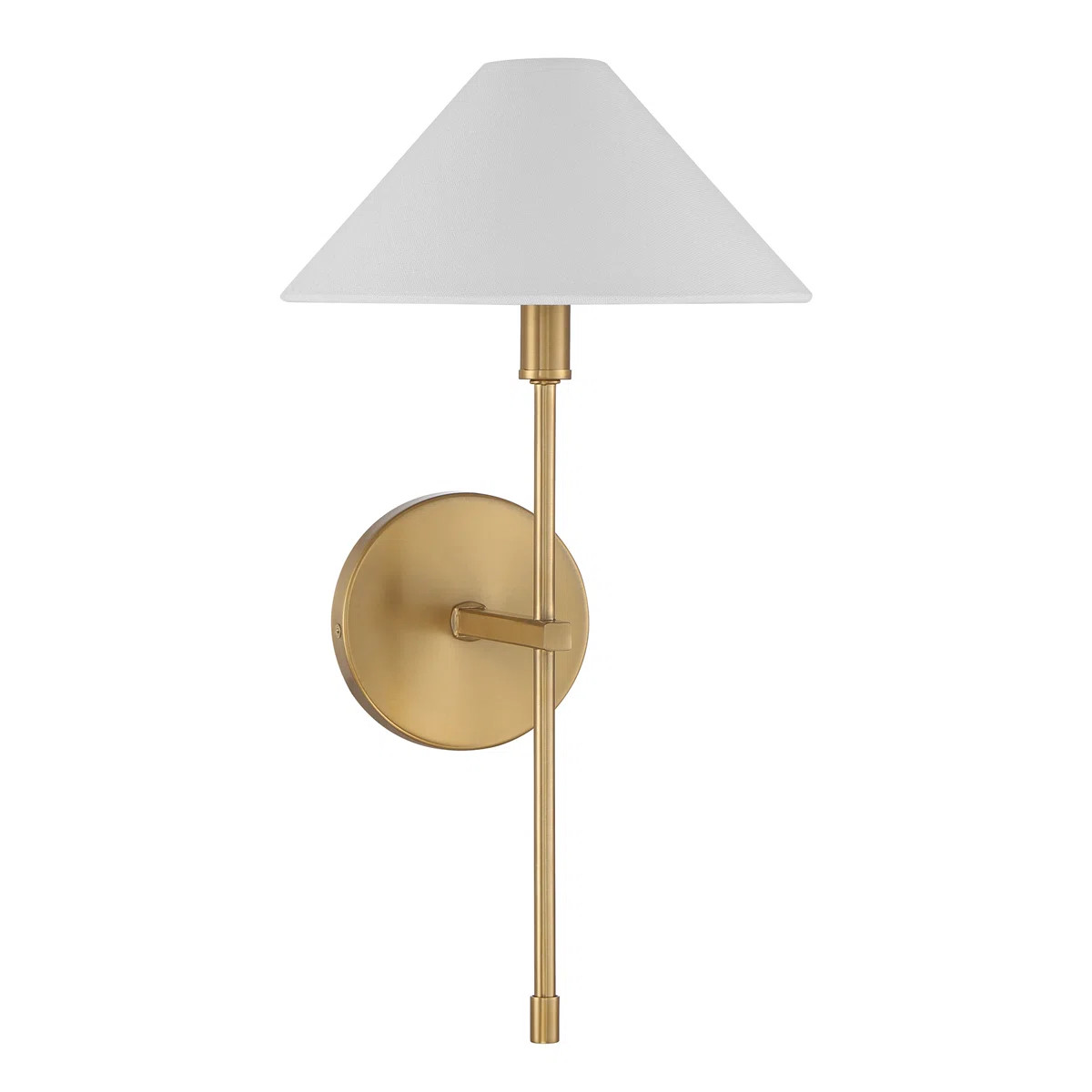 Delle Wallchiere in Warm Brass | Wayfair North America