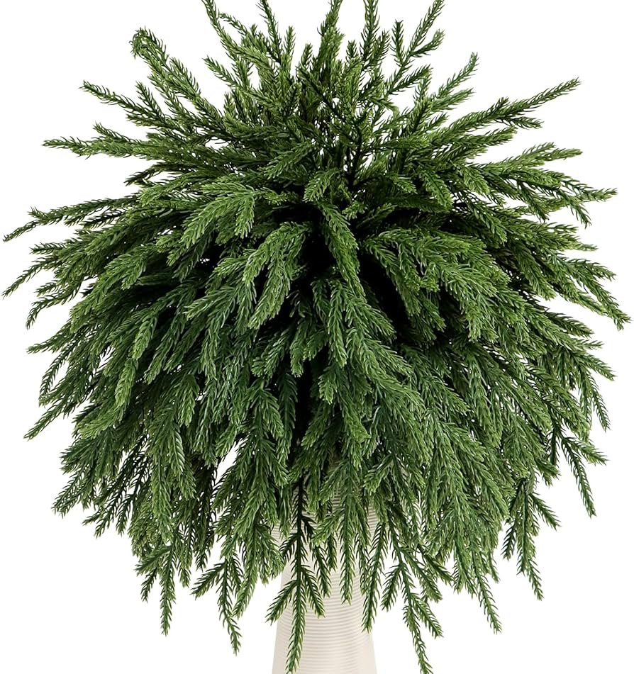 12 Pcs Norfolk Pine Branches 17" Artificial Pine Needles Branches Fake Greenery Picks Norfolk Pin... | Amazon (US)