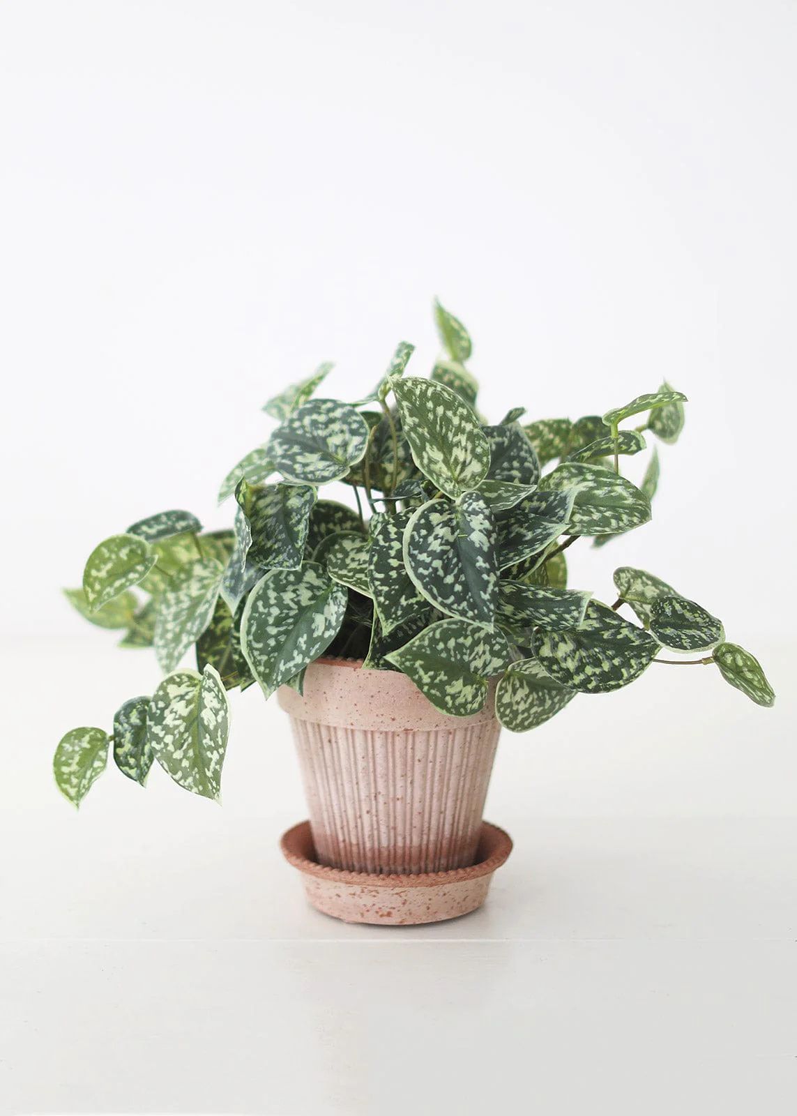Artificial Satin Pothos House Plant - 9" Tall | Afloral (US)