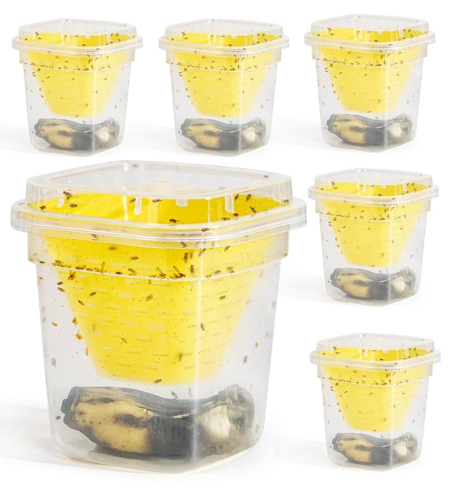 6 Pack Reusable Fruit Fly Trap, Non-Toxic Fruit Fly Catcher, Safe for Kids and Pets Fruit Fly Con... | Amazon (US)