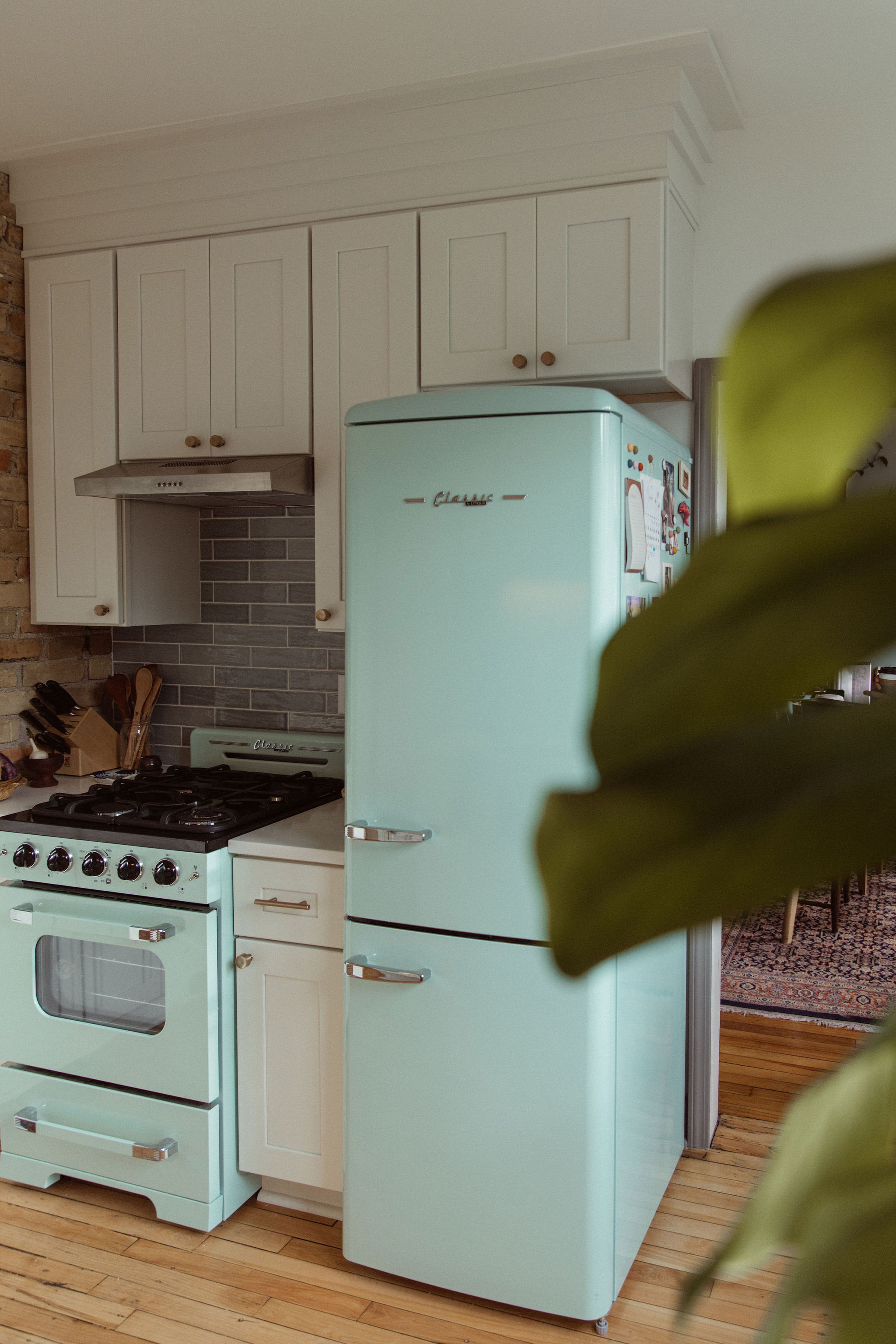 Shop our Retro Kitchen remodel! #LTKDesign #LTKInteriorDesign #LTKRemodeling #LTKRenovation #LTKInteriorDesigner 

 