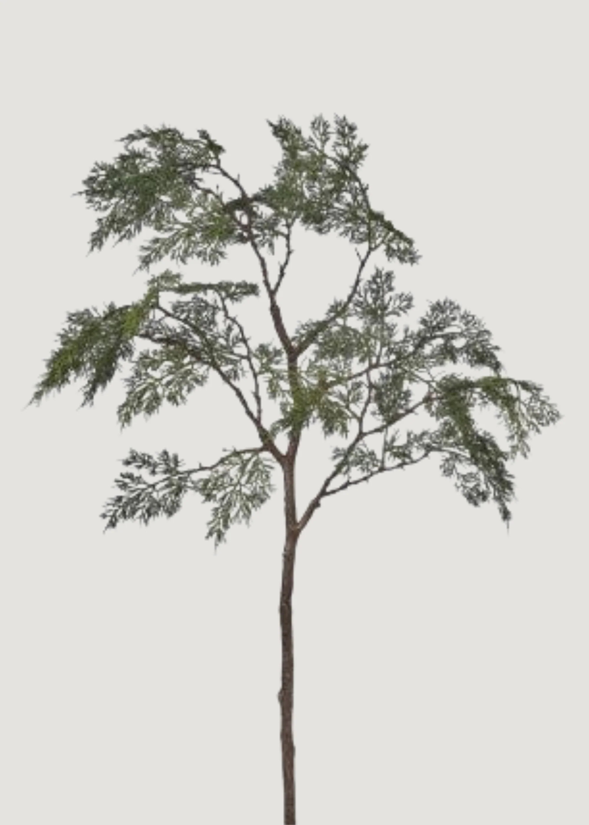 Deluxe Tall Artificial Winter Cedar Branch - 43" | Afloral